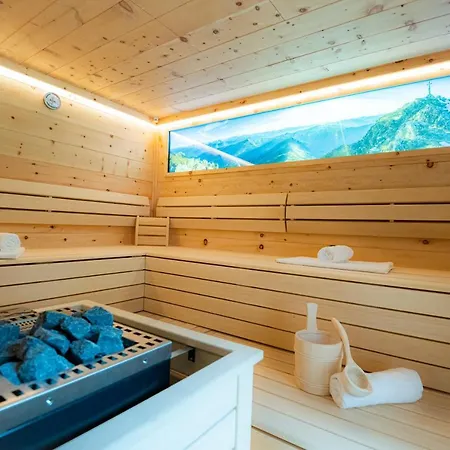 Hotel-restaurant Burgblick Otel Dorfgastein